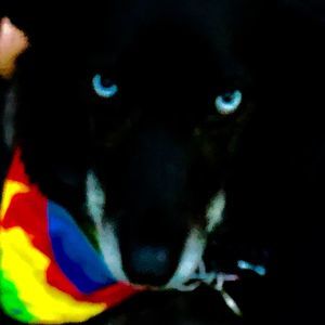 Meet your Posher, Geraldine